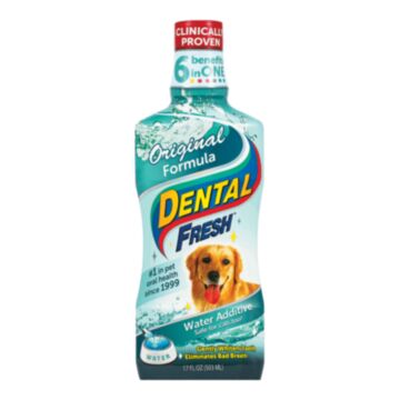 Dental Fresh Standard 503 ml - preparat do higieny jamy ustnej