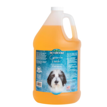 Bio-Groom Groom'n Fresh Shampoo 3,8 l - szampon usuwający nieprzyjemny zapach